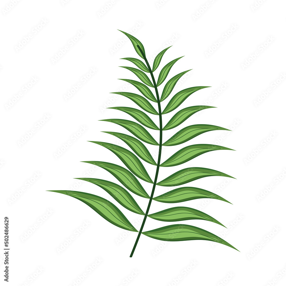 green leaf palm green leaf palm