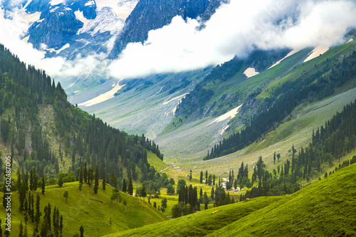 Landscape in the mountains. Panoramic view from the top of Sonmarg, Kashmir valley in the Himalayan region. Serene meadows, alpine trees, wildflowers on the trails of Great Laks of Kashmir Trek, 2022 photo