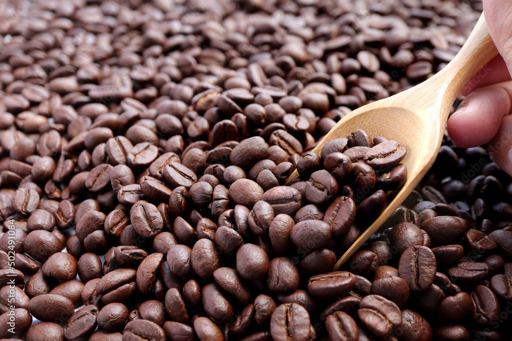 Fototapeta premium roasted coffee beans in wooden spoon holding in hand on a coffee beans background. empty space for text.