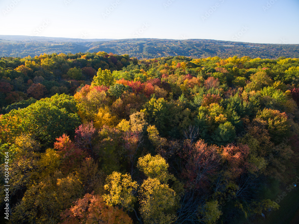 Aerial view of forest canopy in autumn Aerial view of forest canopy in autumn