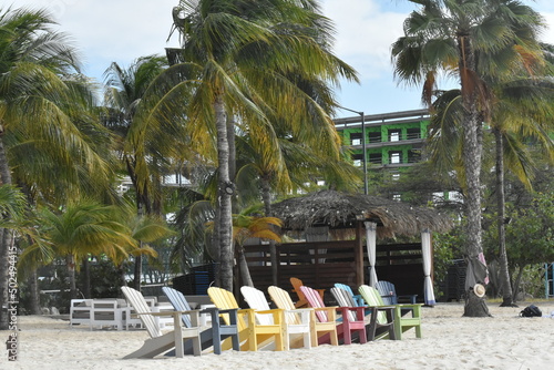 colourful beach chairs on ocean coastline with palm trees in the background photo