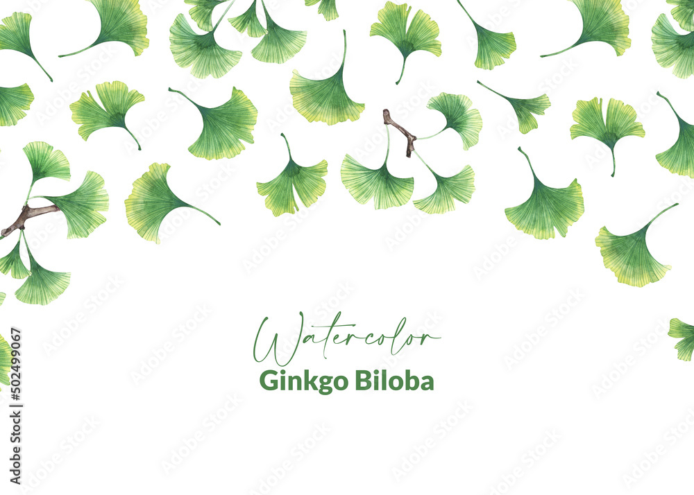 Design with watercolor leaves of ginkgo biloba Design with watercolor leaves of ginkgo biloba