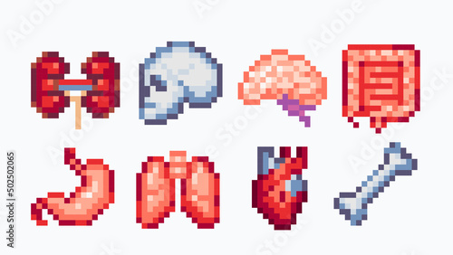 Human organs and bones pixel art set. Anatomical system collection. 8 bit sprite. Game development, mobile app.  Isolated vector illustration.