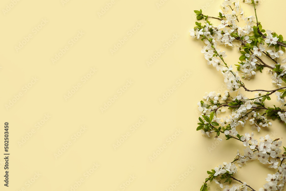 Beautiful blooming spring branches on light color background Beautiful blooming spring branches on light color background