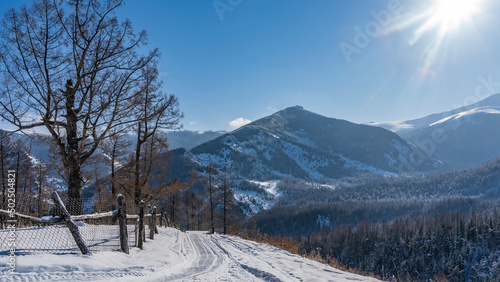 The road on the edge of the gorge. Tire tracks in the snow. A lattice fence on curved pillars. There is a forest in the valley. Mountains and a bare tree against a blue sky. The sun rays are shining