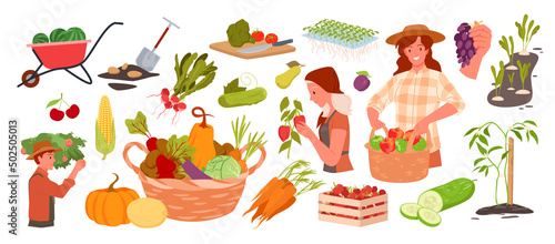 Wide set of farmers harvesting and planting. Natural agricultural, outdoor garden work, ecological farming, natural vegetables and fruits, growing plants vector illustration