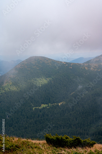 Panoramas of the Carpathians at dawn, dreamy panoramas of the mountains.