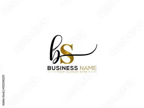 initials BS Logo Icon, Signature bs sb Logo Letter Vector Image Design For Clothing Business photo