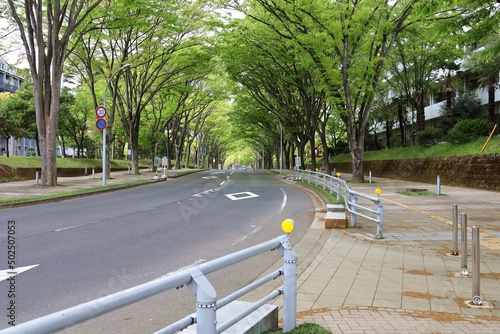 Sendai City, Miyagi Prefecture Japan, May 2022.Around the Aobayama area. photo