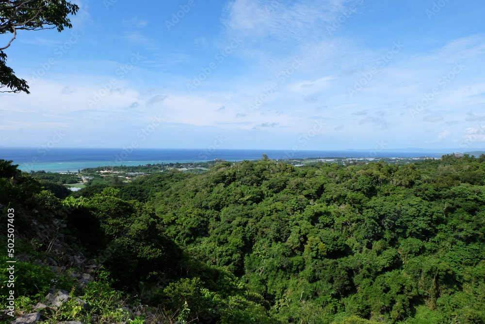 Obraz premium 木々のお生い茂った森と青い空と奥に写る海の水平線