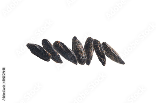 Roasted rye malt grains levitate on a white background photo