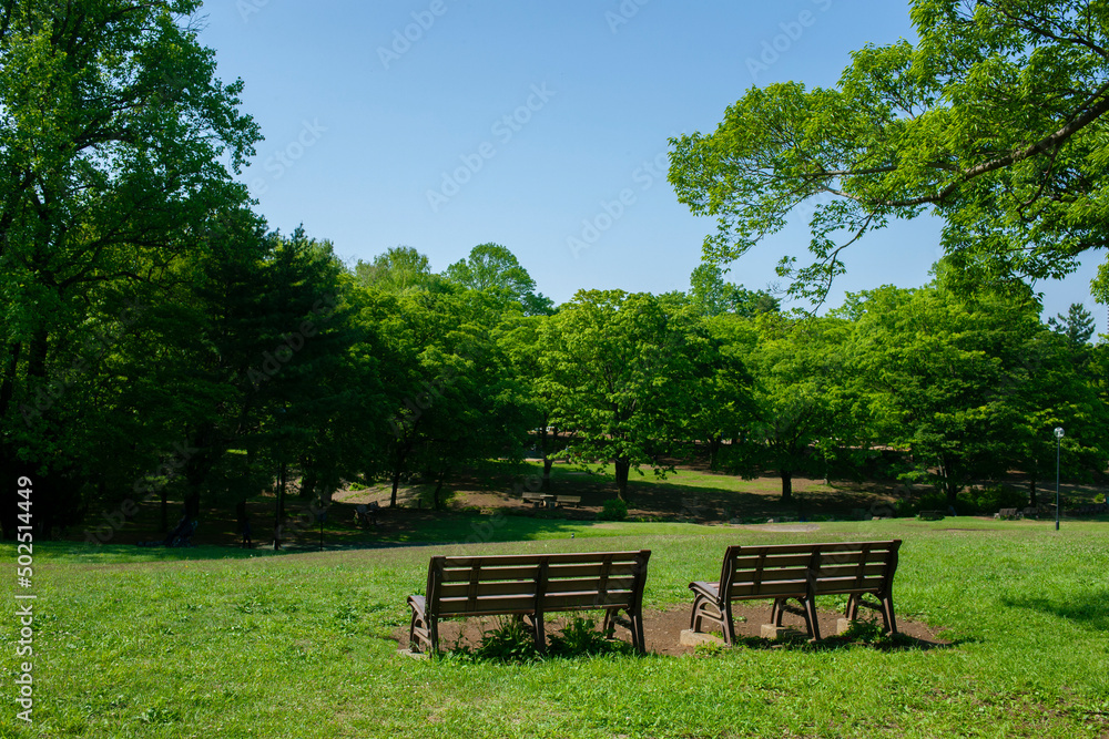 park bench park bench