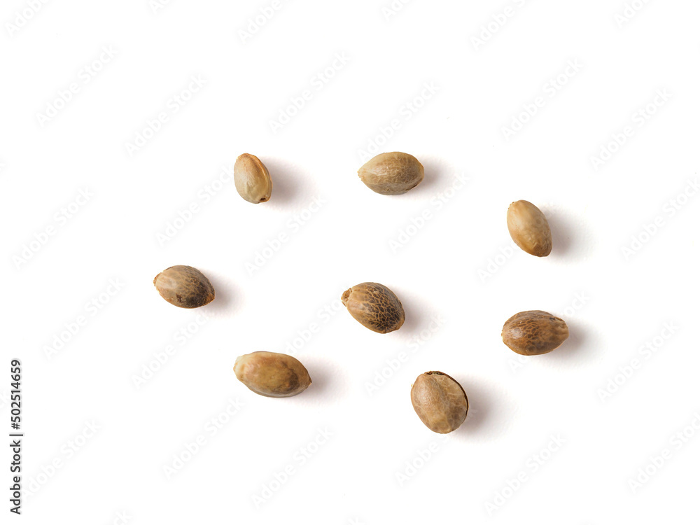 Closeup view of hemp seeds on white background.