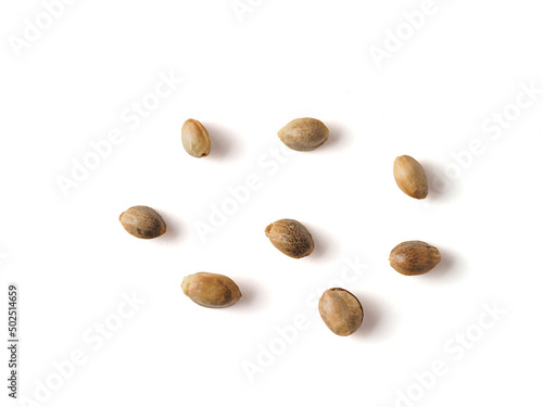 Closeup view of hemp seeds on white background.