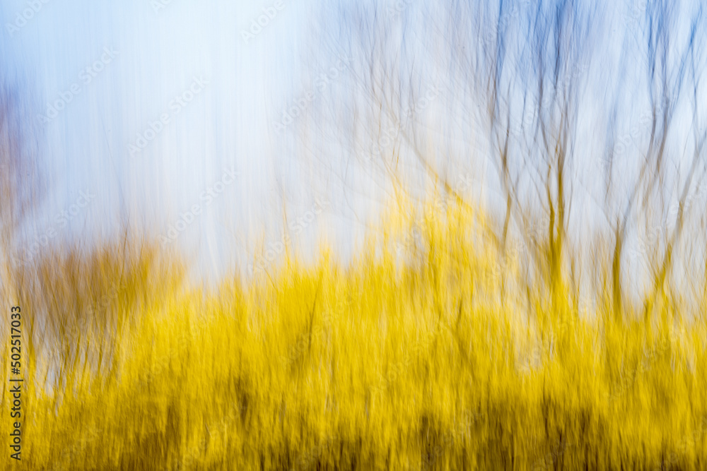 De Pan made of intentional camera movement, icm photo of panoramic photocopy of Mt. De Pan made of intentional camera movement, icm photo of panoramic photocopy of Mt.