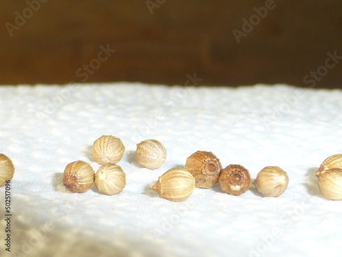 coriander seeds