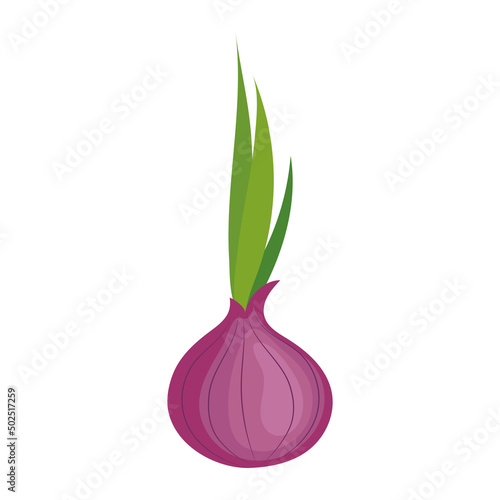 fresh purple onion vegetable