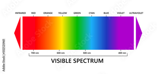 Visible light spectrum, infared and ultraviolet. Electromagnetic visible color spectrum for human eye. Vector gradient diagram with wavelength and colors. Educational illustration on white background.