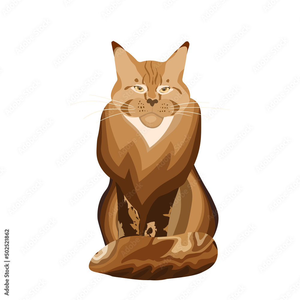Obraz premium Cute cat Maine Coon isolated on color background. Funny animals. Card, postcards for kids. Flat vector illustration for banner, card, wallpaper, poster