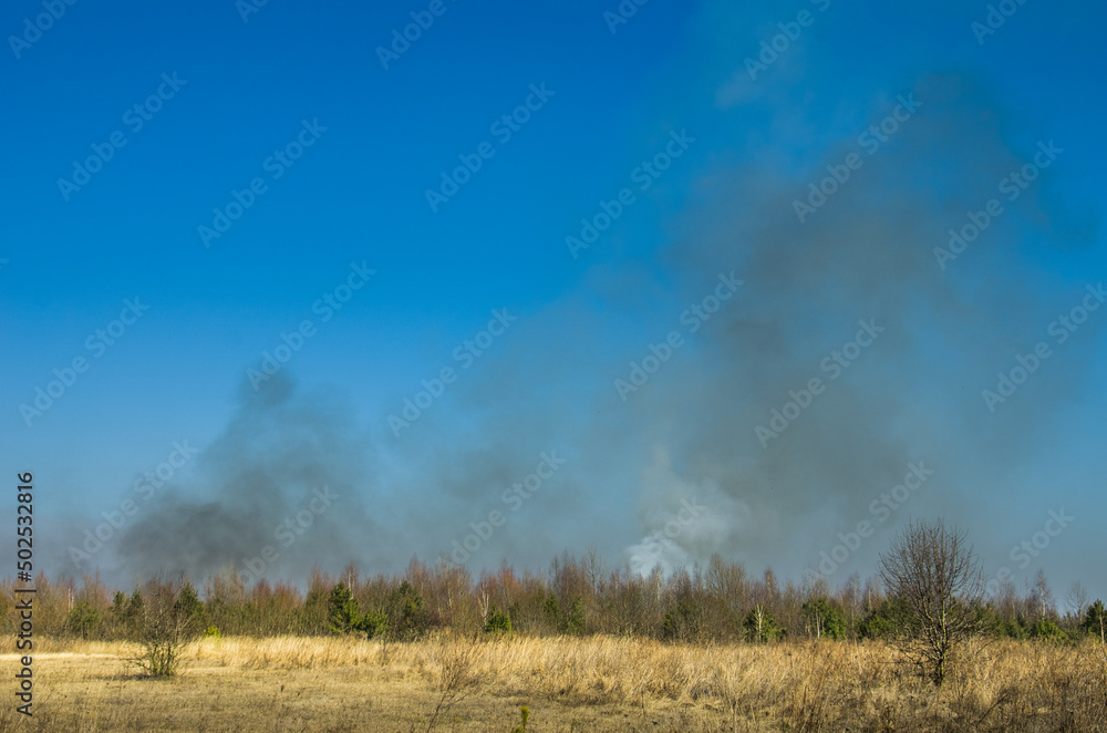 Obraz premium Burning forest on the horizon.