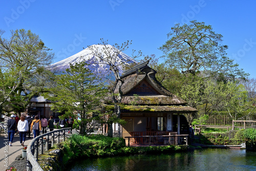 Landscape of Oshino village with Mt. Fuji