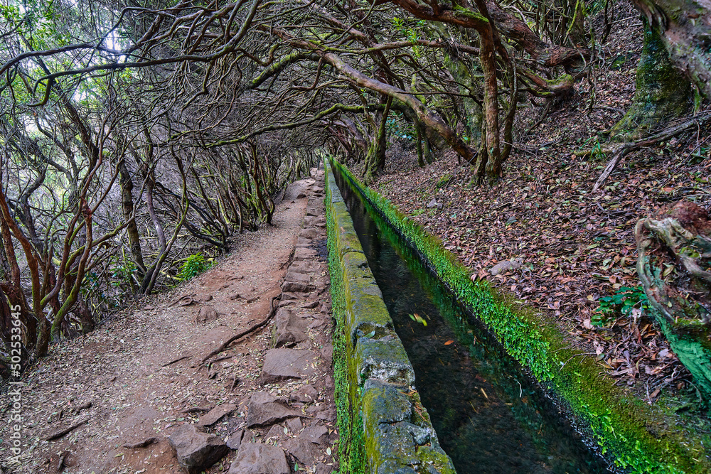 Walk on the levadas in Madeira, beautiful madeira mountains overlooking the valley with flowing clouds, infinite cloud Walk on the levadas in Madeira, beautiful madeira mountains overlooking the valley with flowing clouds, infinite cloud