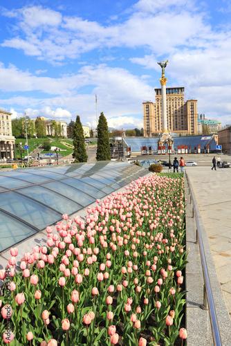 Independence Square in war time with bloomimg tulips in Kyiv, Ukraine