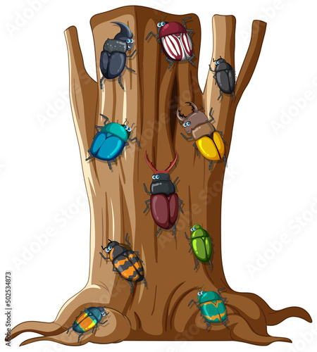 Many beetles climbing on a tree