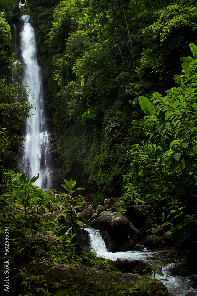 Tropical sunny landscape - fresh summer high waterfall in jungle with lush green foliage, rainforest, wet moss, stream of purity water in sunlight with bright splashes, vertical. Tourism on Bali.