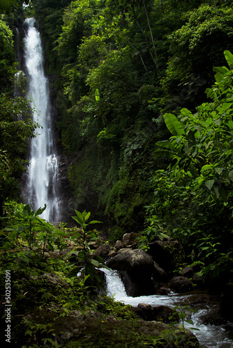 Tropical sunny landscape - fresh summer high waterfall in jungle with lush green foliage  rainforest  wet moss  stream of purity water in sunlight with bright splashes  vertical. Tourism on Bali.