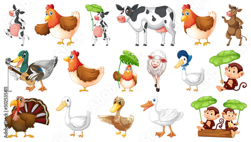 Farm animals on white background