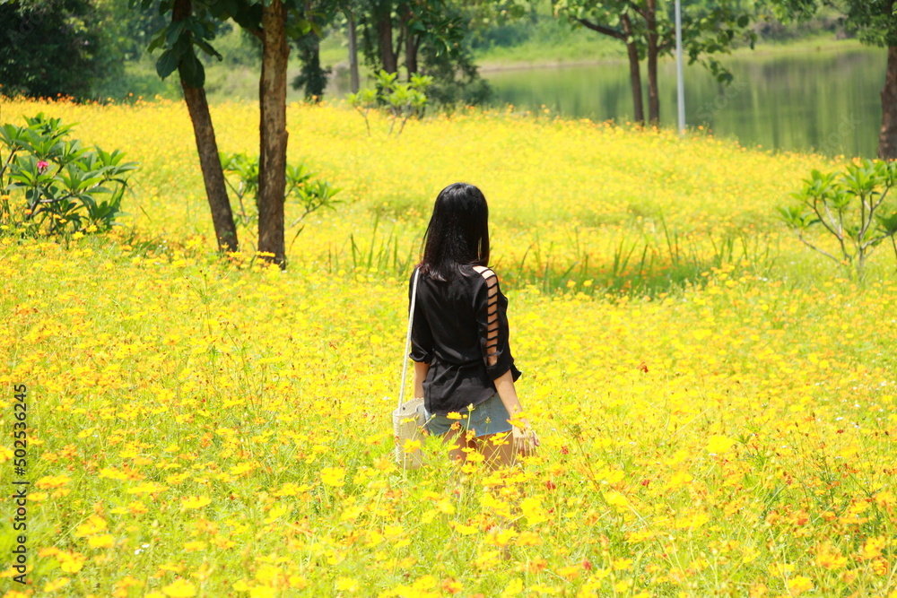 A charming asian woman standing in middle of yellow cosmos flowers field.