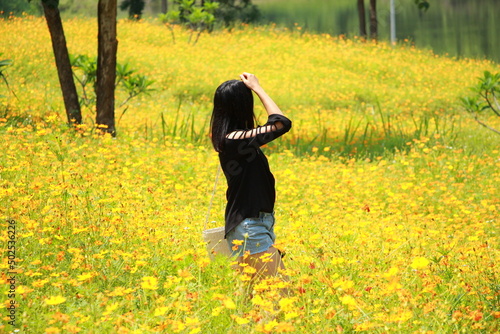 A charming asian woman standing in middle of yellow cosmos flowers field.