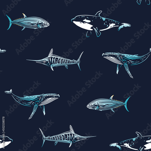 Vector seamless pattern with sea creatures. Pattern, whale, shark, marlin, tuna.