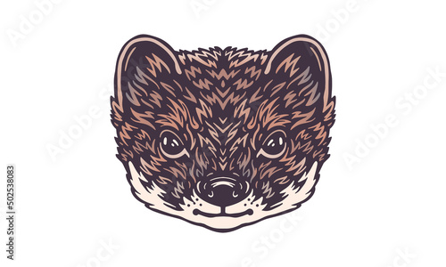 Weasel on light background. Color vector illustration of a weasel. Portrait isolated.