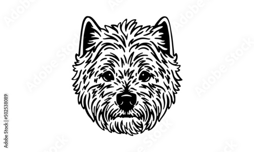 West Highland White Terrier on light background. Black and white vector illustration of a dog. Portrait isolated.