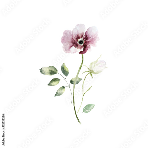 Background with watercolor flowers floral illustration. Botanic composition for wedding or greeting card.For Mother s Day  wedding  birthday  Easter  Valentine s Day.