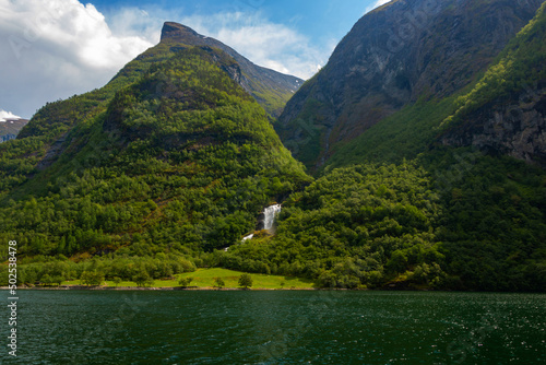 Beautiful waterfall between green trees on N  r  yfjord in early summer in Norway
