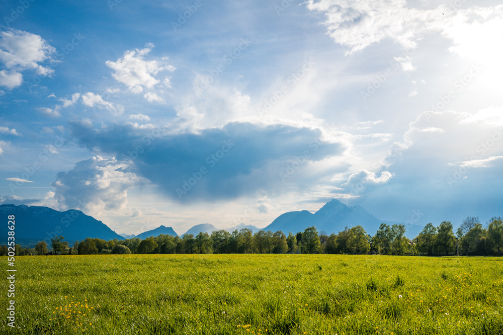 landscape with grass and blue sky landscape with grass and blue sky