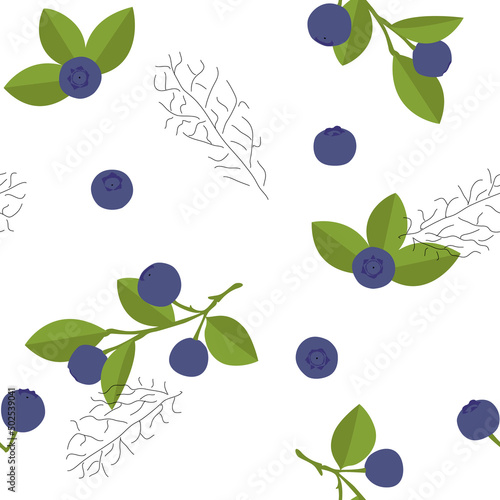 Vector bilberry seamless pattern. Hand drawn illustration of summer fruit. Fresh design great for wallpaper, gift wrap, fabric.