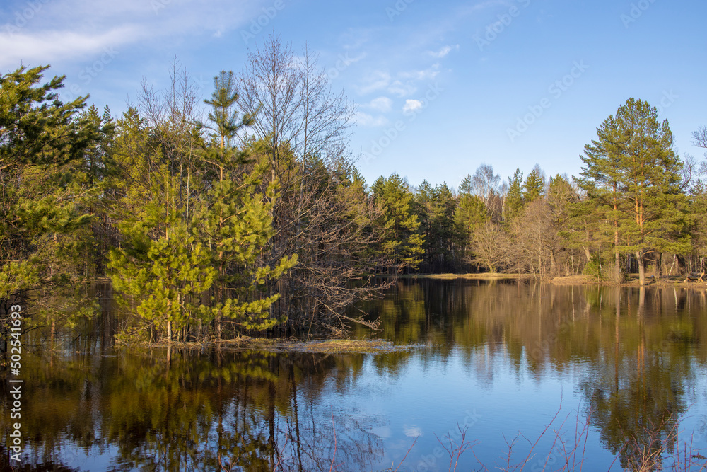 High water in early spring. Trees in the water. Peace of mind by nature. High water in early spring. Trees in the water. Peace of mind by nature.