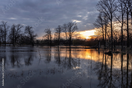 Dramatic evening landscape. The sunset sky is reflected in the water. Silhouettes of fabulous trees at sunset. The river overflowed its banks. © Sergei