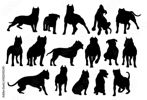 American pit bull, set of dogs silhouettes isolated.