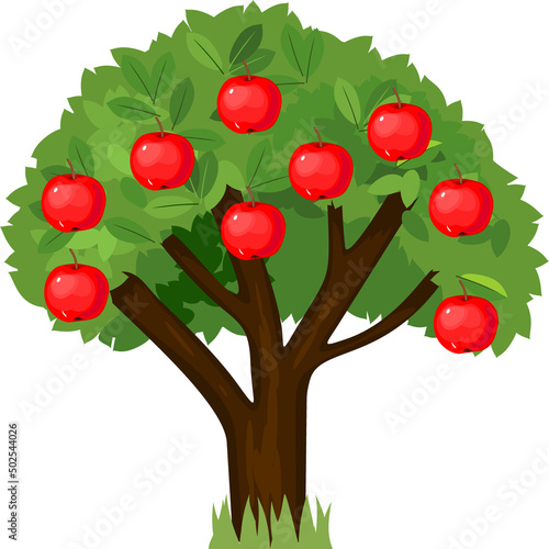 Cartoon apple tree with green crown and ripe red apples isolated on white background