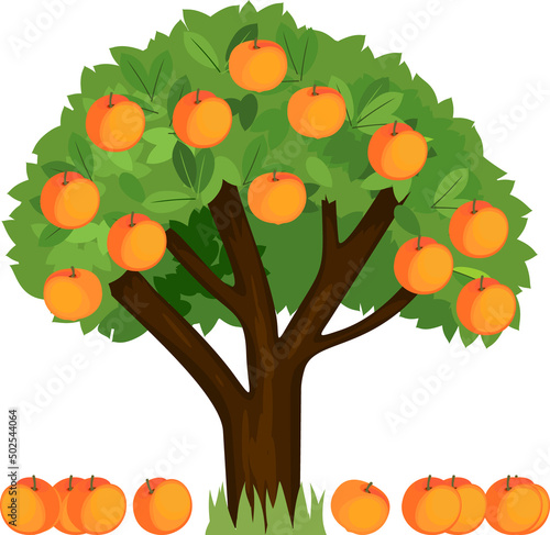 Cartoon peach tree with green crown and ripe fallen peaches isolated on white background