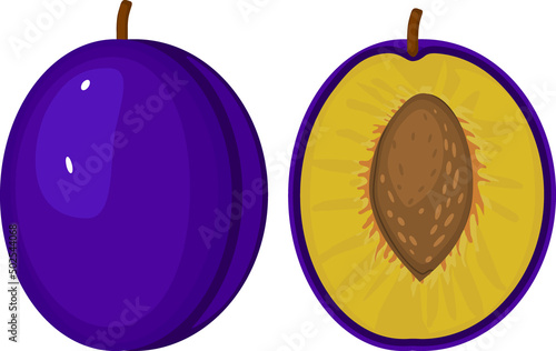 Whole and half cut ripe blue plum isolated on white background