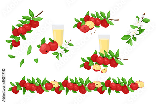Set of red apple branch elements