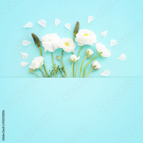 Top view image of white flowers composition over blue pastel background