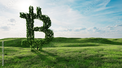 Baum in Form von Bitcoin Symbol auf Wiese als Konzept photo