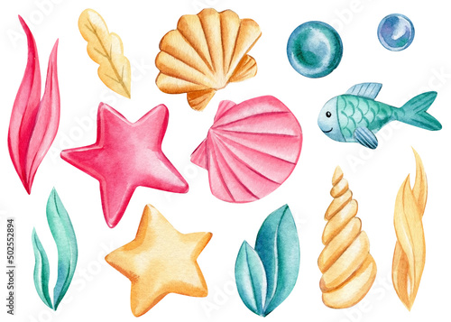 Seashells, bubbles, starfish on an isolated white background. Watercolor drawing